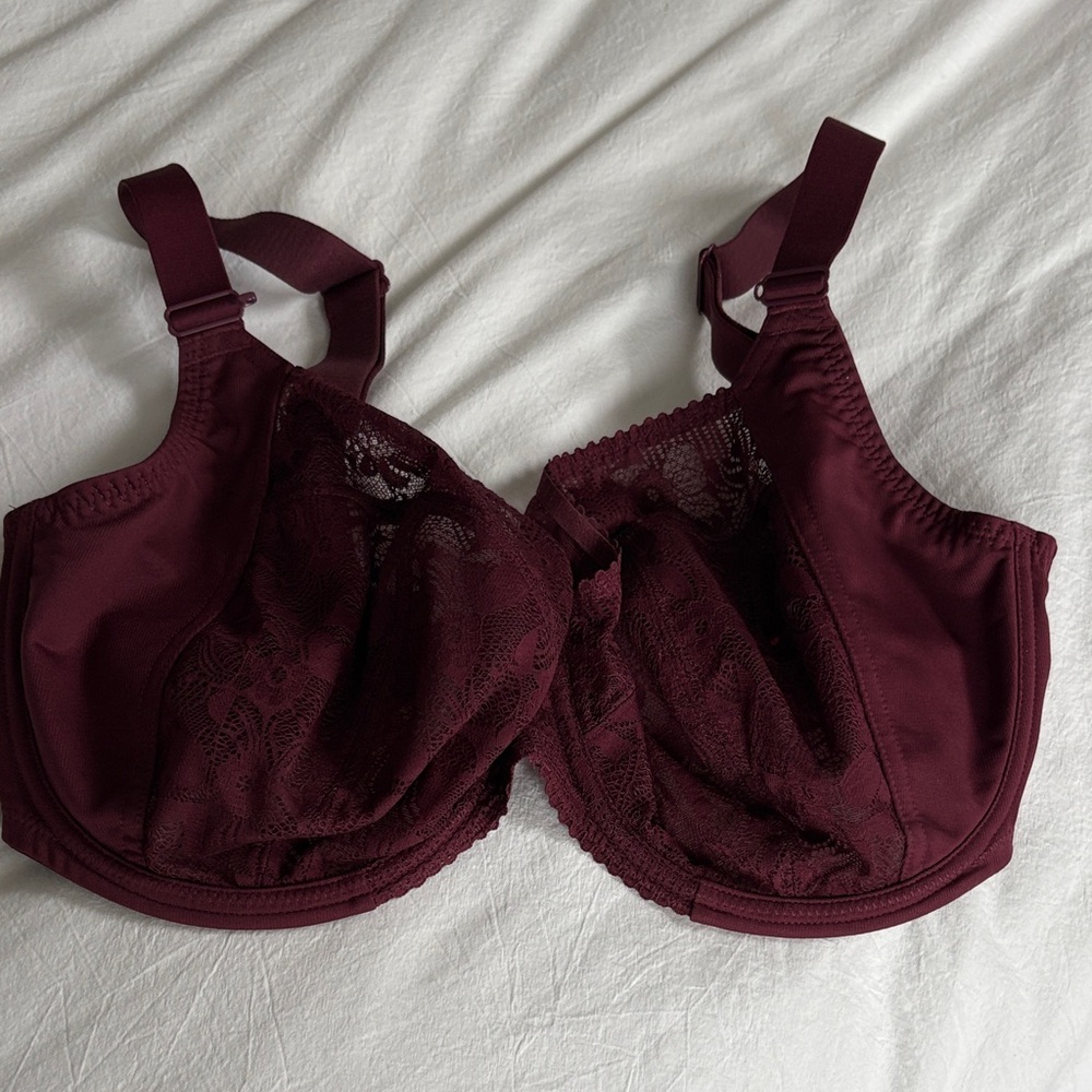 Chic Lace Maroon Bra